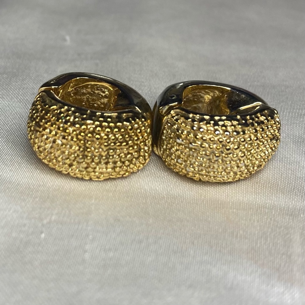 Beautiful Magnet golden earrings